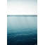 Parvez Taj - Wrapped Canvas Print-16671968