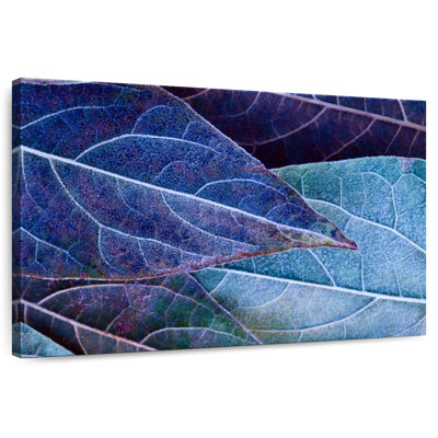 Harnek Frosty Leaves