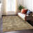 Mahaney Indoor/Outdoor Area Rug with Non-Slip Backing-1656679644