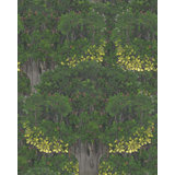 The Transylvanian Manor Floral Wallpaper Roll