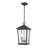 Bourke 2 - Light Outdoor Hanging Lantern-1683147483