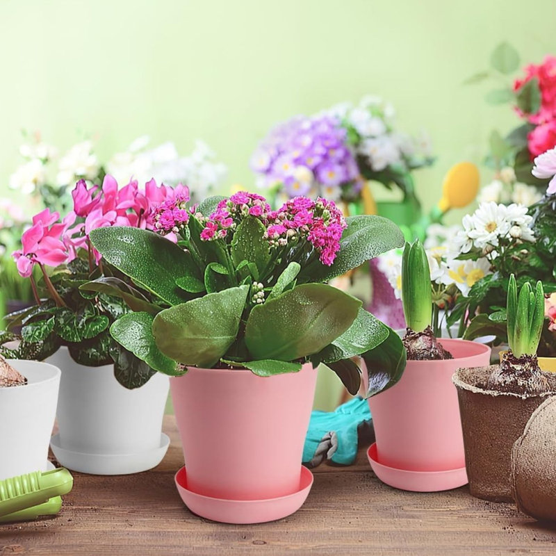 Ensemble de 10 pots à plante en plastique 4 pouces avec soucoupes de drainage - blanc et rose