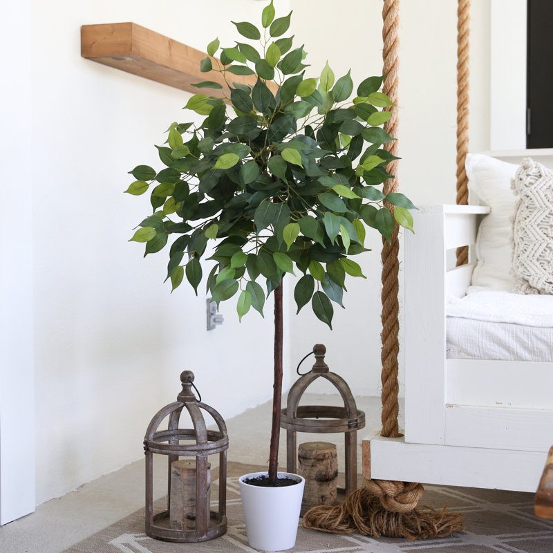 Zapata 48'' Faux Ficus Tree in Planter