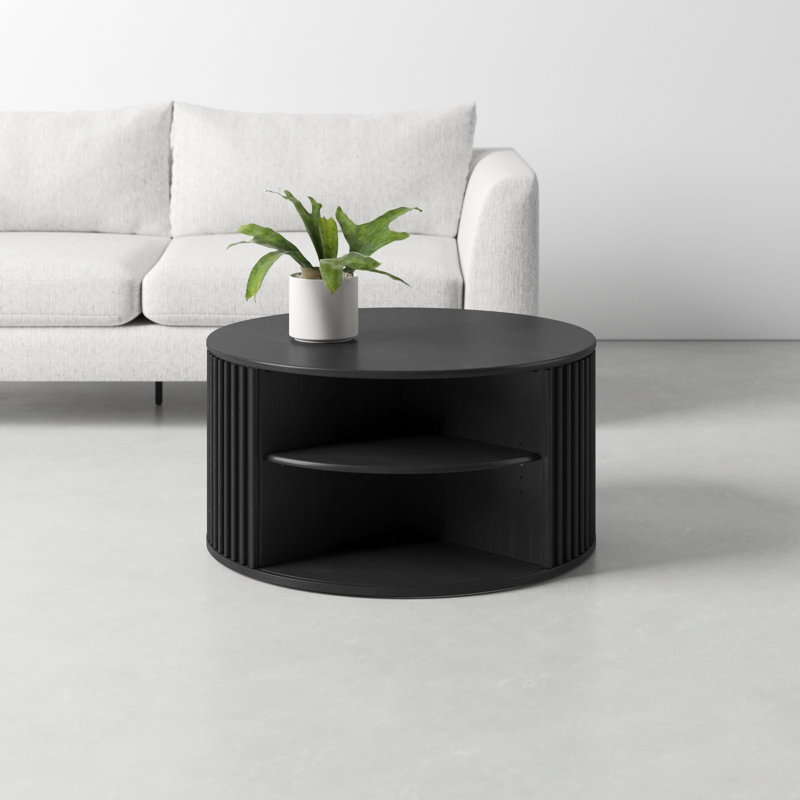 Asta Storage Coffee Table