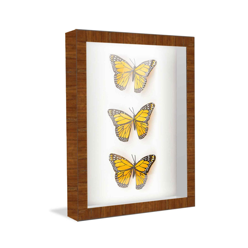 Cattalaya Solid Wood Shadow Box Picture Frame, Light Brown, 13" W x 19" H