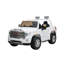 2 places 24 V GMC Denali-69437495