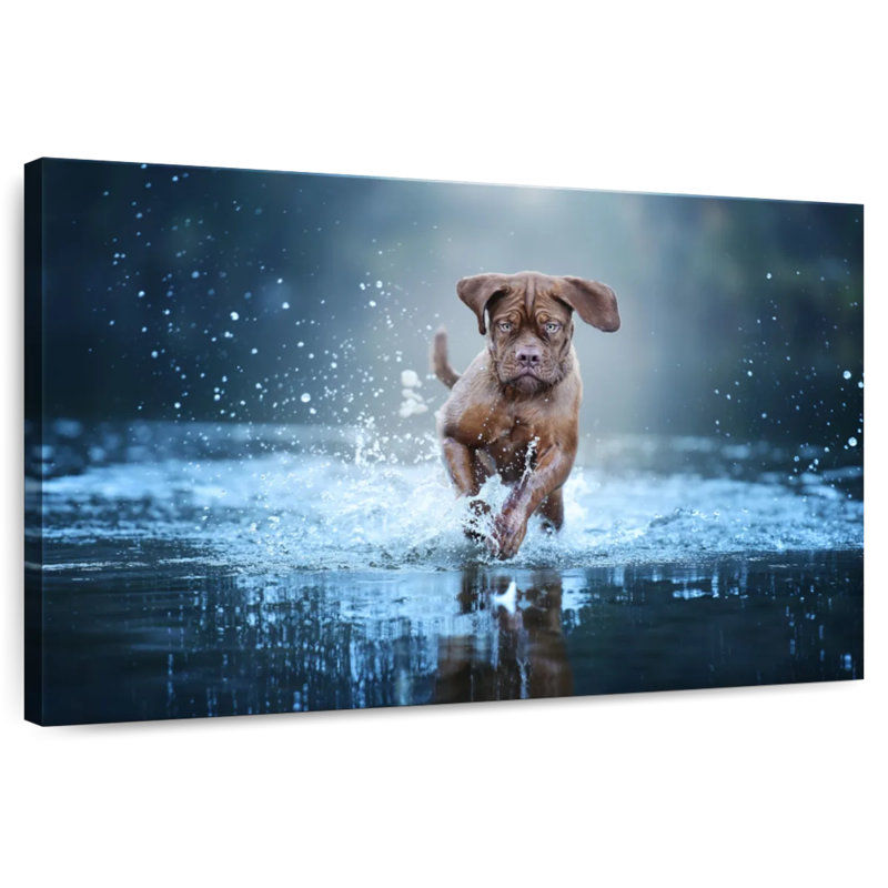 Brampt Splashing Mastiff Dog, 34" H x 51" W