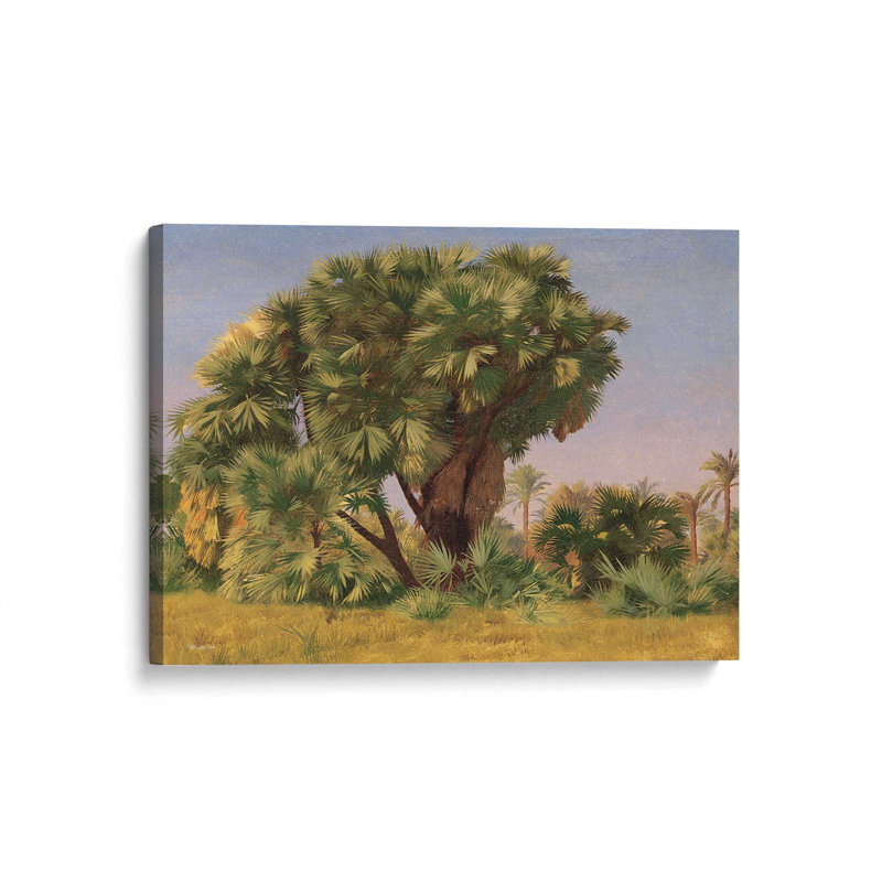 «Study of Palm Trees» par Stellar Design Studio, reproduction d'art, L 32 po x H 24 po, Ne s’applique pas, Toile non encadrée
