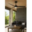 Hinkley Speck Ceiling Fan-1566314487-1566314480