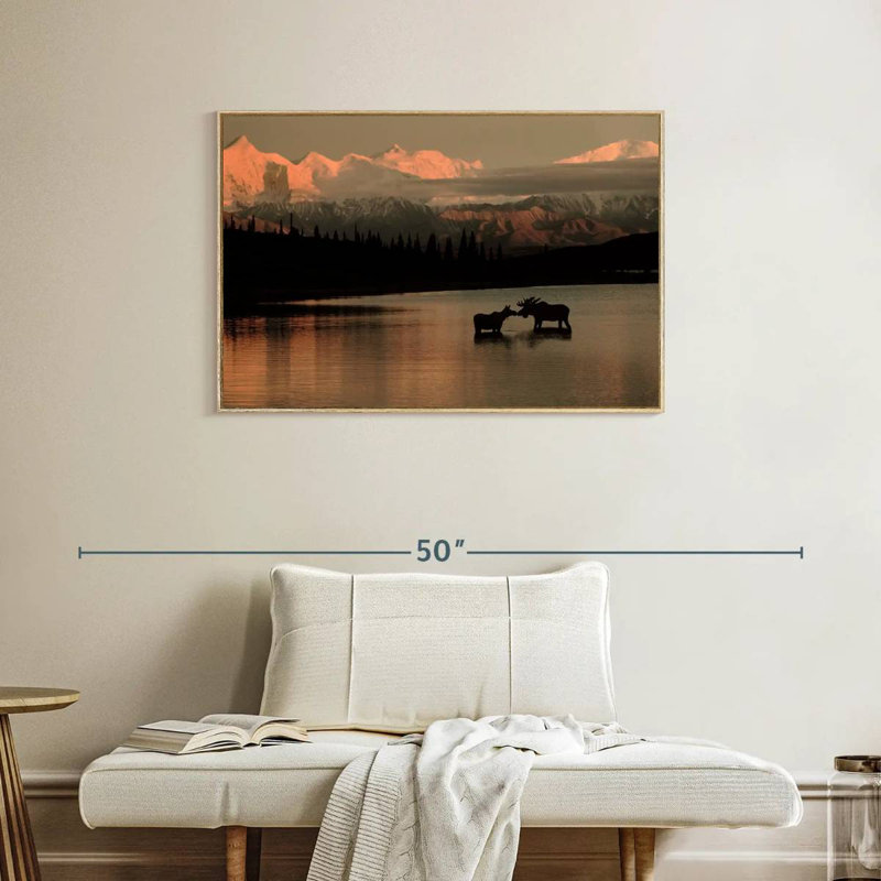 Courting Moose In Wonder Lake, Cadre flottant en bois naturel, 37 po x 25 po