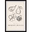 Modern Botany - Single Picture Frame Painting-753615675