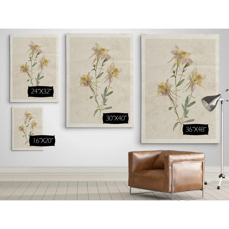 « pressed columbine i », reproduction de peinture à l’huile sur toile tendue, H 24 po x l 32 po x P 1,5 po