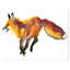 Illustration mignonne de renard-reproduction d’art-34277010-29496685
