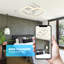 Bruinius Flush Mount