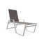 Holna Outdoor Rust-Resistant Metal Chaise Lounge