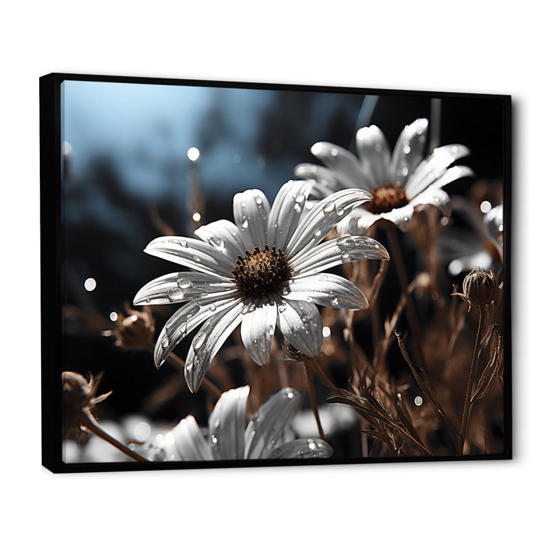 «Daisies Field Sunrise III», reproduction sur toile, H 34 po x l 44 po, Cadre flottant noir