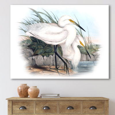 " Vintage Bird Life I " Painting Print