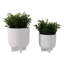 Pot de fleurs et ciment texturé Planters