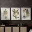Fern Botanical III - Toile tendue avec châssis sur mesure - 3 pièces-1756760343-1756760331
