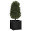 Alasiah Wood Planter Box-1696373206-1696373215
