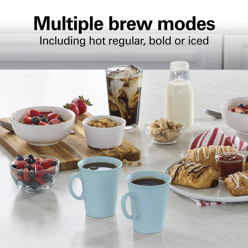 Hamilton Beach 12 Cup Programmable Coffee Maker