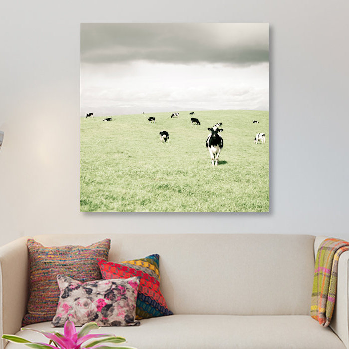 « curieux vaches », reproduction de photo sur toile, H 12 po x l 12 po x P 0,75 po, Pas de tapis, Toile tendue