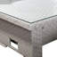 Amneek Garden Lounge Set with Cushions