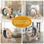 Roue d'exercice pour chat 6-en-1, roue améliorée pour chats d'intérieur