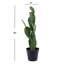 Cactus artificiel en pot 22 po