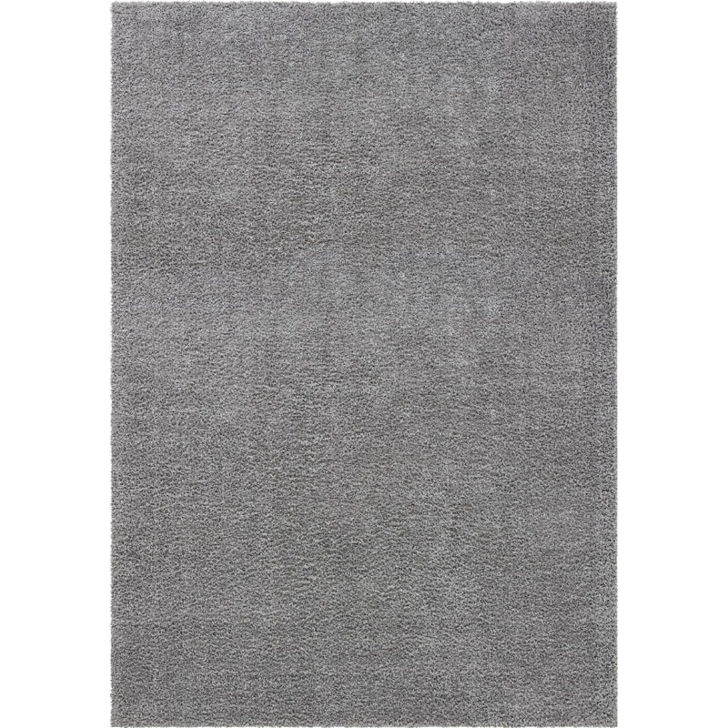 Carlosadrian Oriental Indoor Rug, Rectangle 10' x 14'