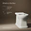Cuvette de toilette allongée avec siphon Claude par Studio McGee-128974347
