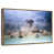 Floating Frame Gold selected