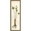 Pressed Botanical 26 Print
