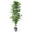 96'' Faux  Ficus Tree KD version