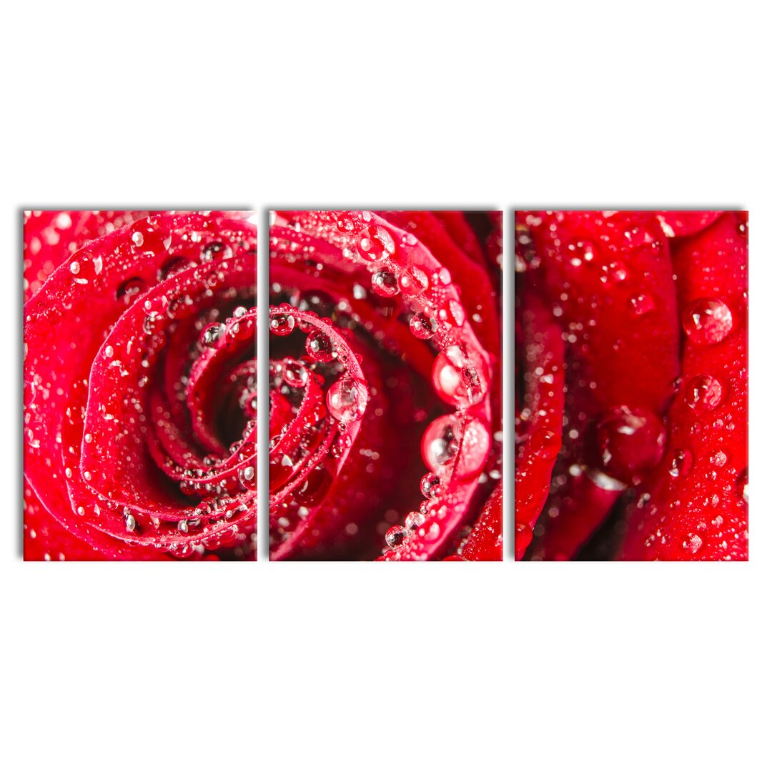 3-tlg. Leinwandbilder-Set Rose with Water Droplets