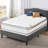 White Noise 10'' Plush Memory Foam Mattress and Box Spring-1514770337