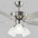 52'' Ceiling Fan with LED Lights