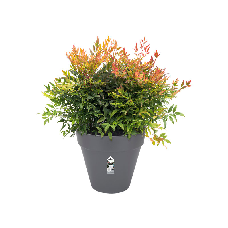 Pot Planter, Anthracite, 26.2cm H x 29cm W x 29cm D