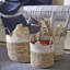 Lucian Box - Set of 3