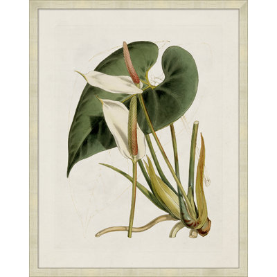 Green Leaf 2