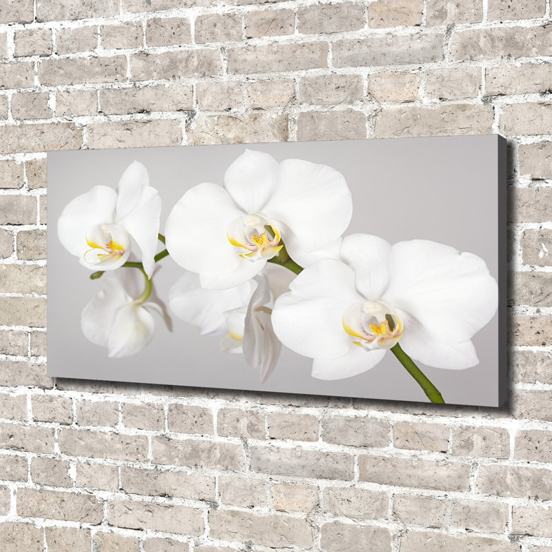 Orchid - Wrapped Canvas Print