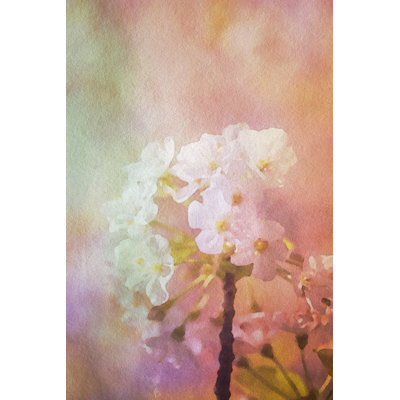Watercolor Painted Flower Background by Dlinca - No Frame Art Prints on Canvas