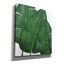 "Eper Graffiti" Emerald Banana Leaves 2 "par Janelle Penner, art mural sur toile-106172577