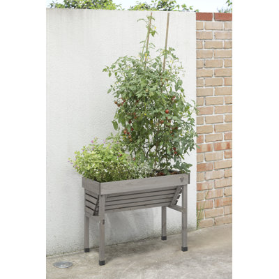 Wood Raised Garden Bed