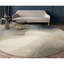 Abstract Area Rug in Beige/Gray/Ivory