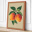 Peaches and Leaves Botanical - Wrapped Canvas-1210798394-1210798396