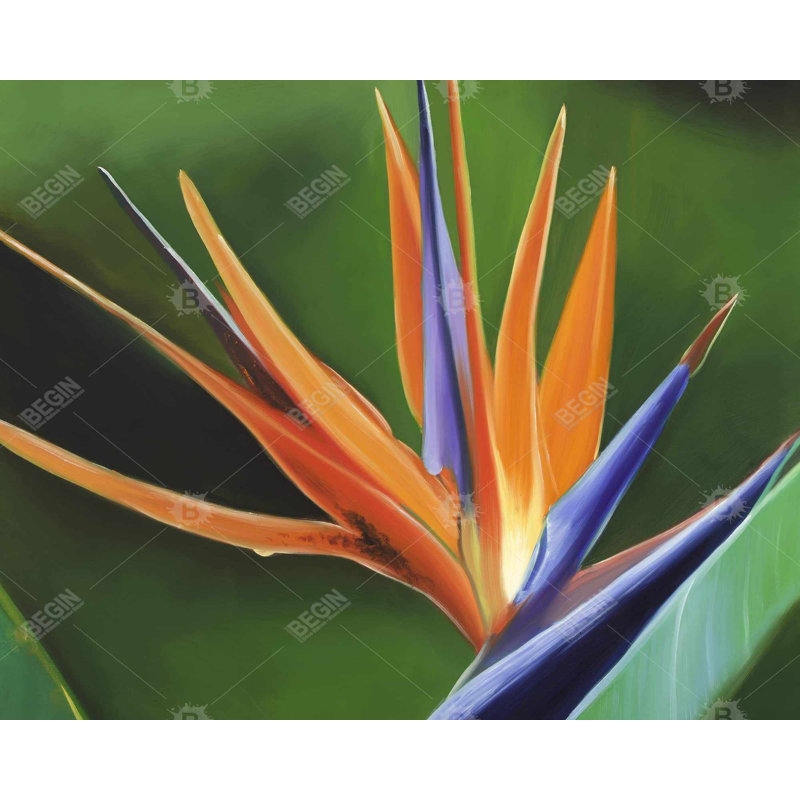 " Bird Of Paradise Flower " on, H 60 po x l 48 po