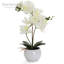 Orchidée artificielle dans un vase-64581333