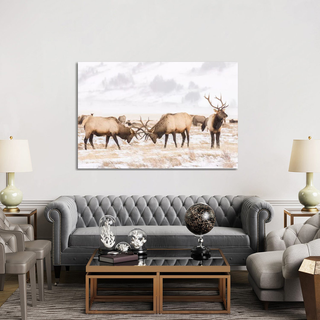 USA Wyoming National Elk Refuge Bull Elks Fighting In Winter by Jaynes Gallery - Wrapped Canvas Painting