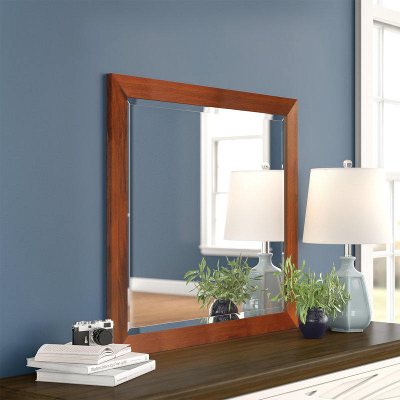 Dakota Mirror